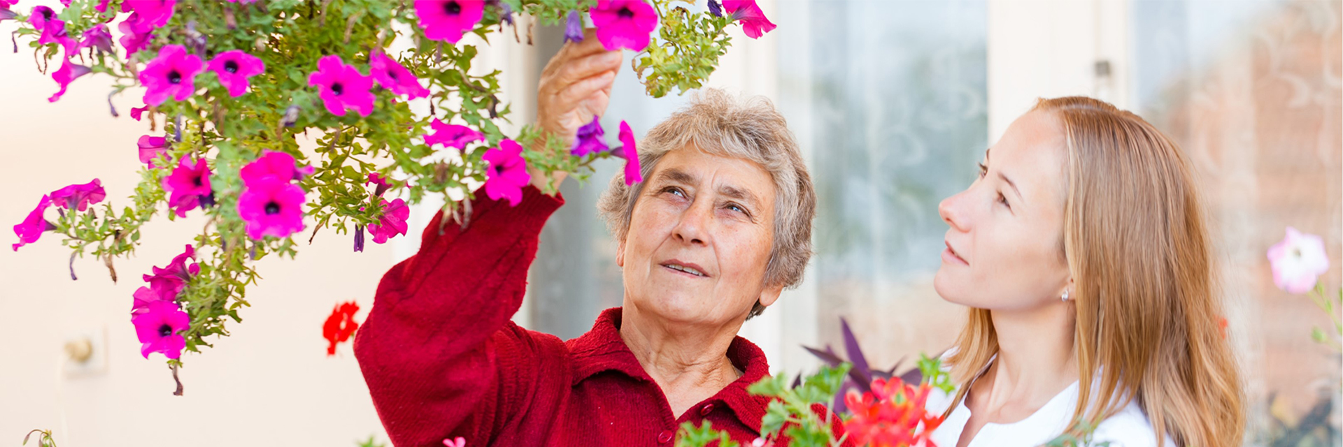 two women looking at hanging pink petunia basket